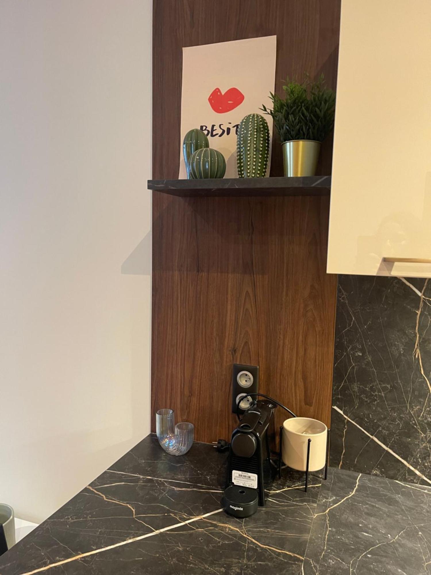 Appartement Au Coeur Du Centre Ville De 卡尔卡松 外观 照片